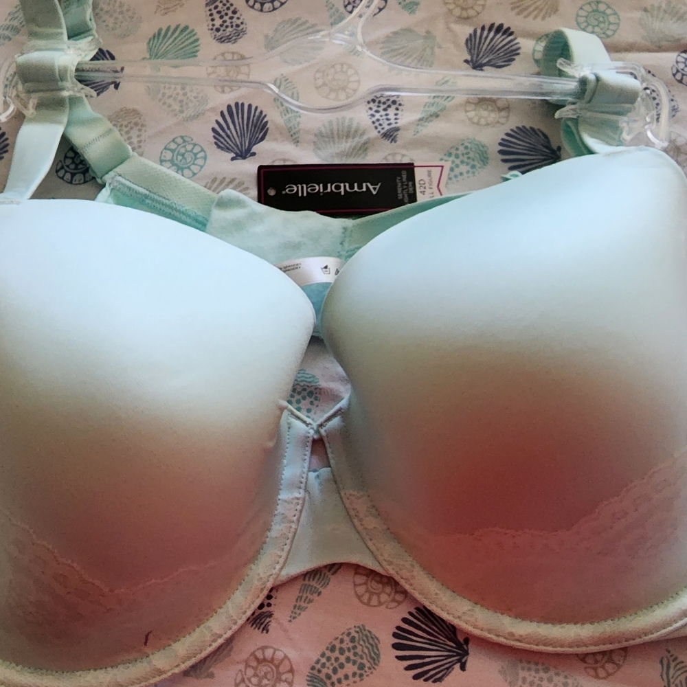 Ambrielle bra